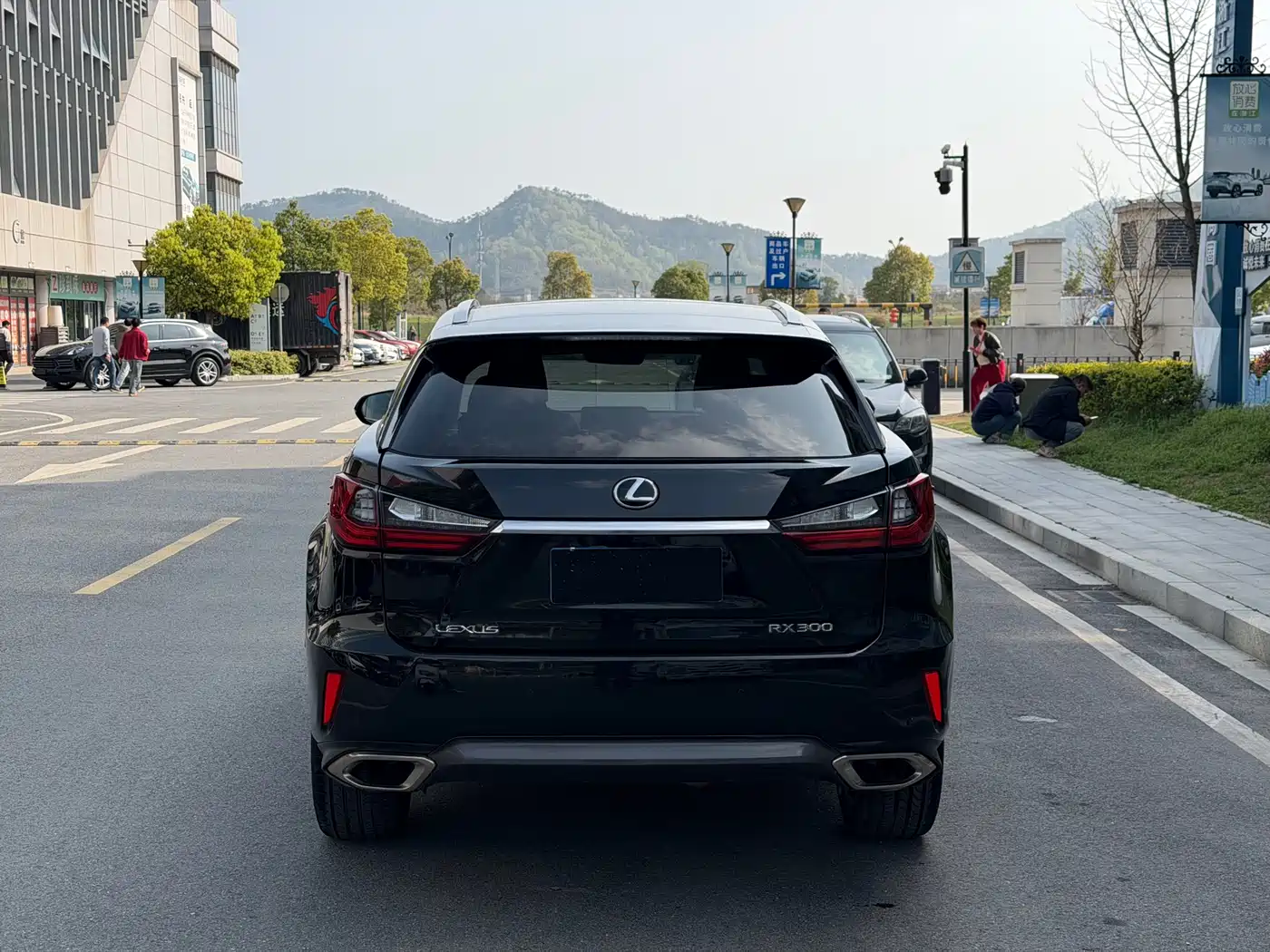 LEXUS RX