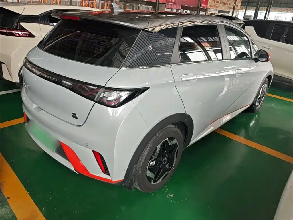 BYD Dolphin 2021 Model 405km Fashion Edition фото 7