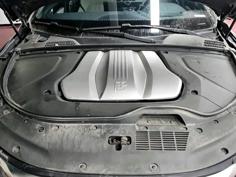 BYD Tang New Energy 2024 EV Glory Edition 730KM Premium фото 8