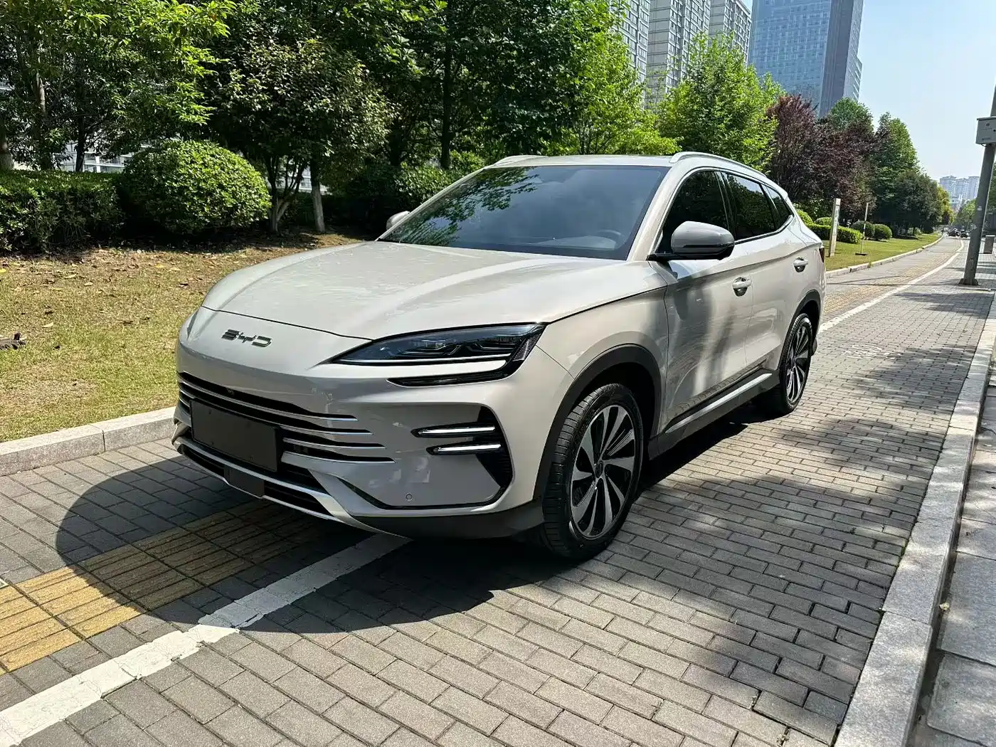 BYD Song PLUS PHEV 2023 Champion Edition DM-i 110KM Flagship фото 10