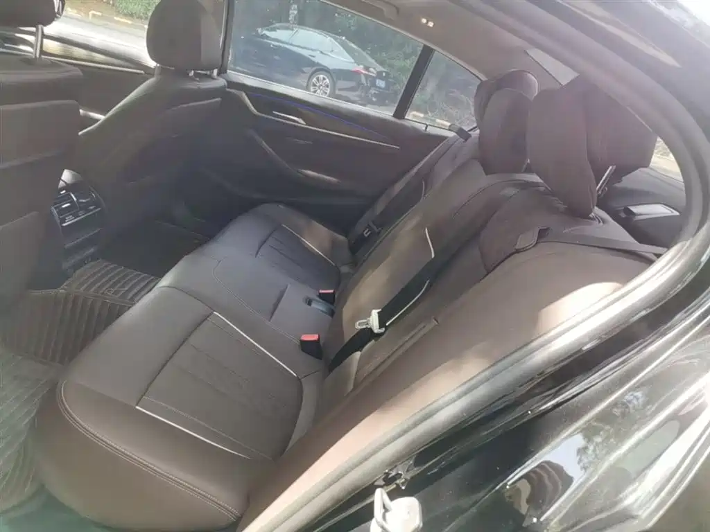 BMW 5 Series 2021 530Li Leading Luxury Package фото 17