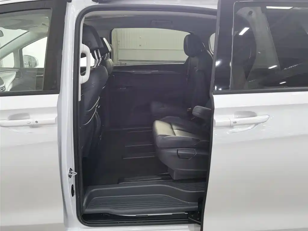 BUICK GL8 NEW ENERGY