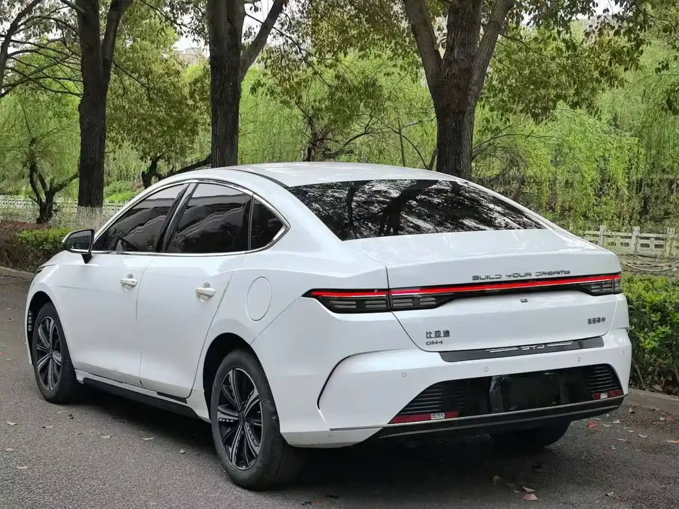 BYD Destroyer 05 2024 Glory Edition DM-i 120KM Luxury фото 4