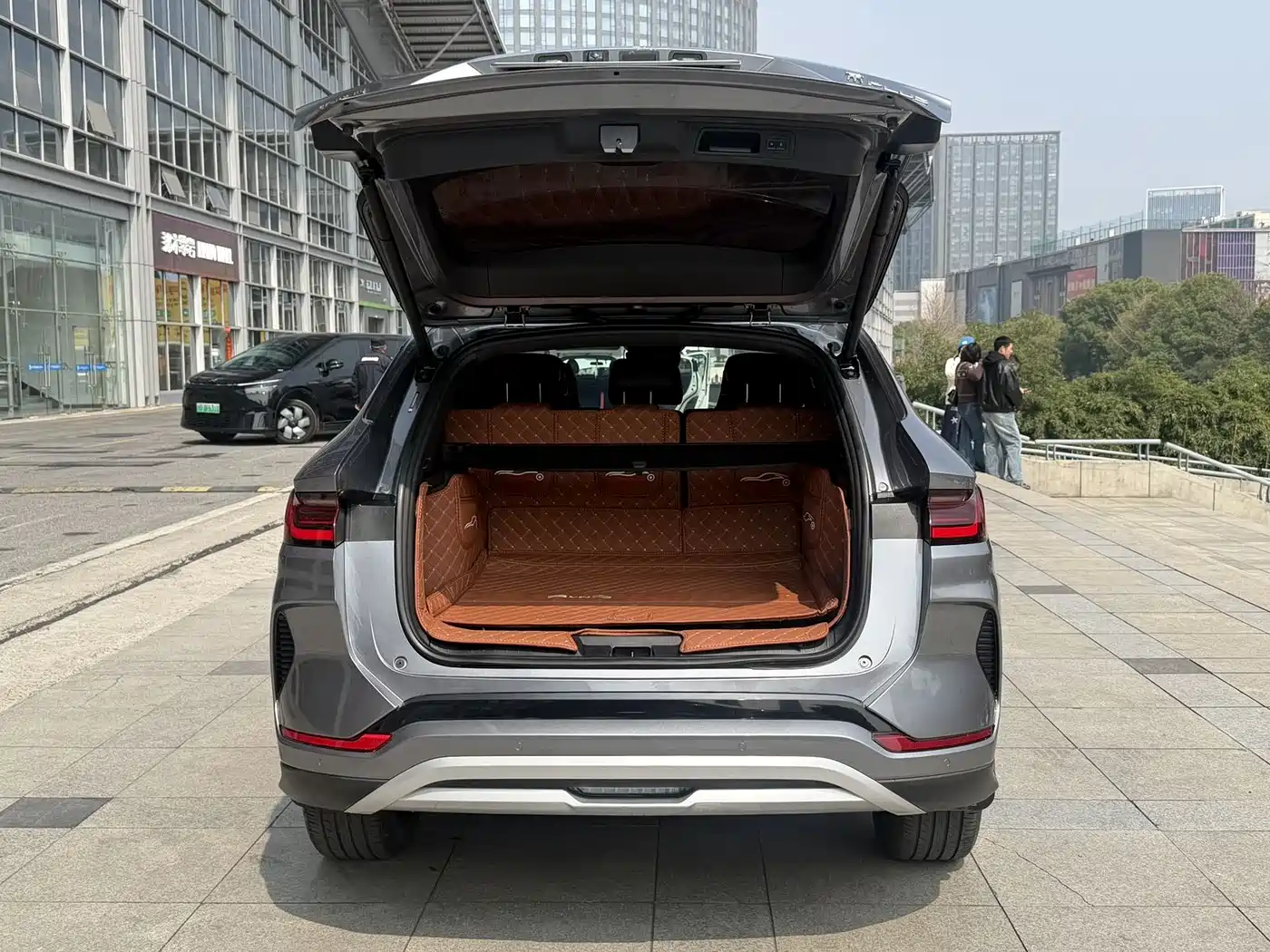 BYD SONGJIANG NEW ENERGY