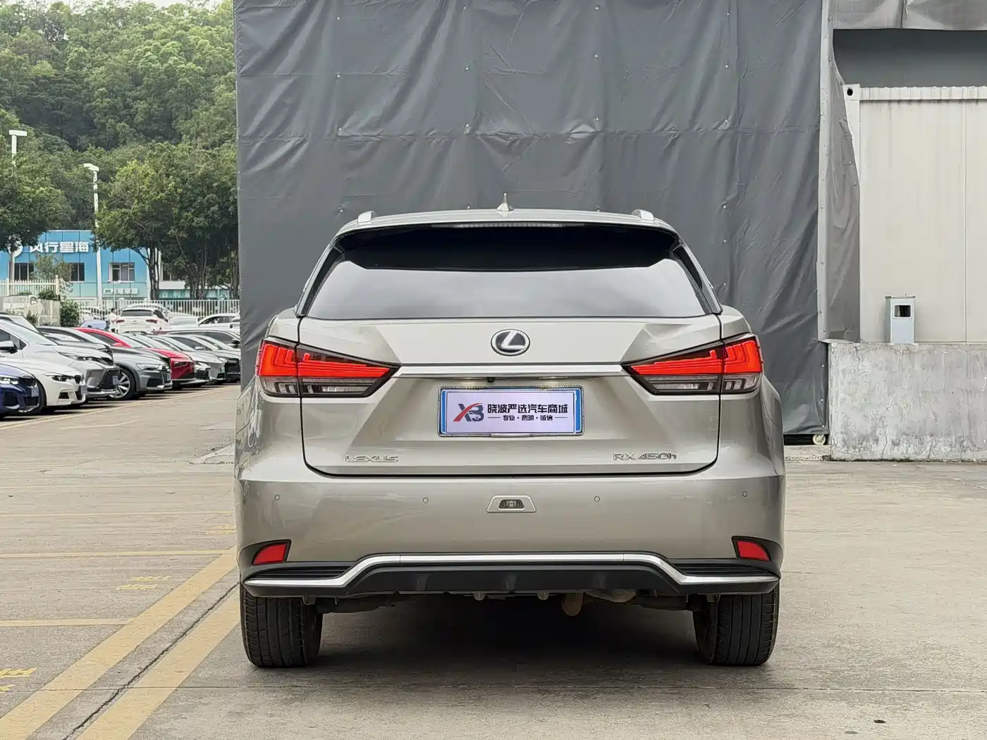 LEXUS RX