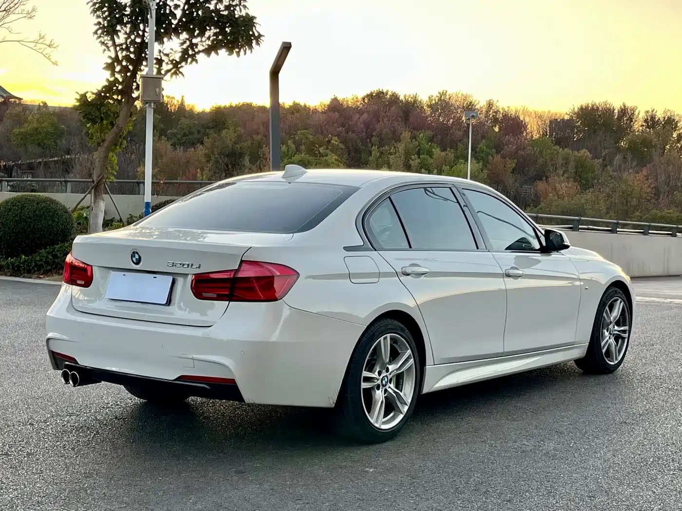BMW 3 Series 2019 320Li M Sport Package фото 7