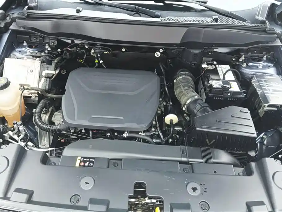 Haval Big Dog 2022 1.5T DCT FWD Border Collie Edition фото 10
