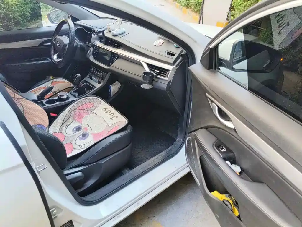 Photo 13 - Geely Emgrand