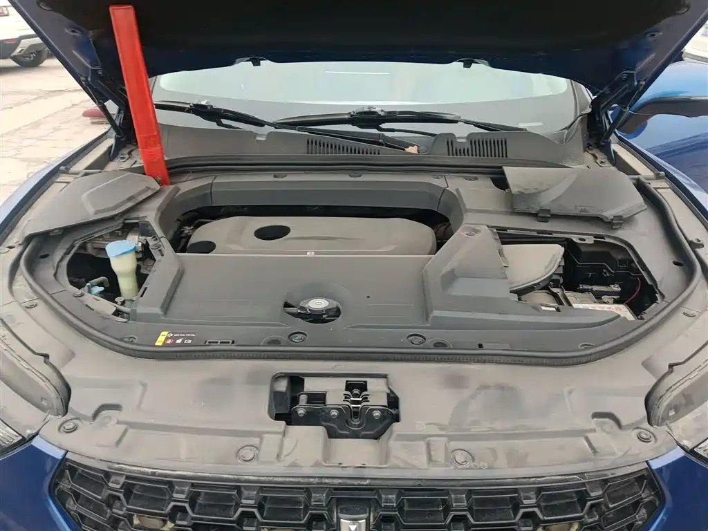 WEY VV5 2017 2017 2.0T Super Luxury Model
