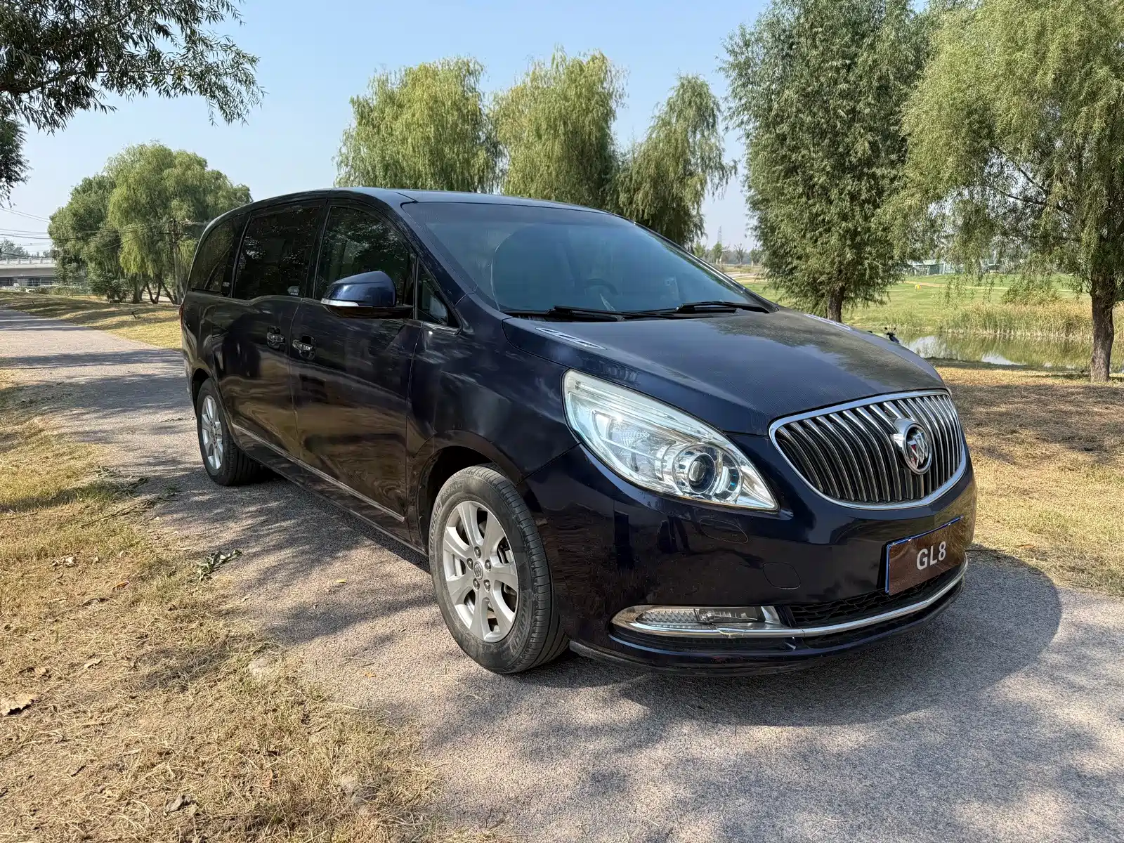 Фото 2 - Buick GL8