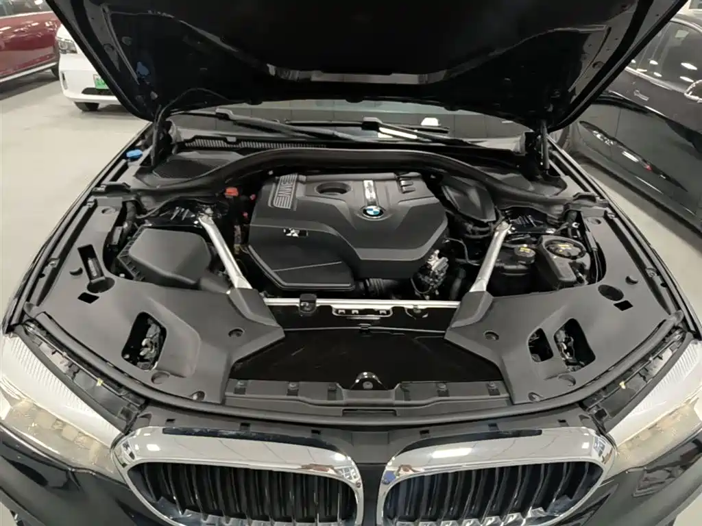 BMW 5 Series 2018 Facelift 530Li Leading M Sport Package фото 20