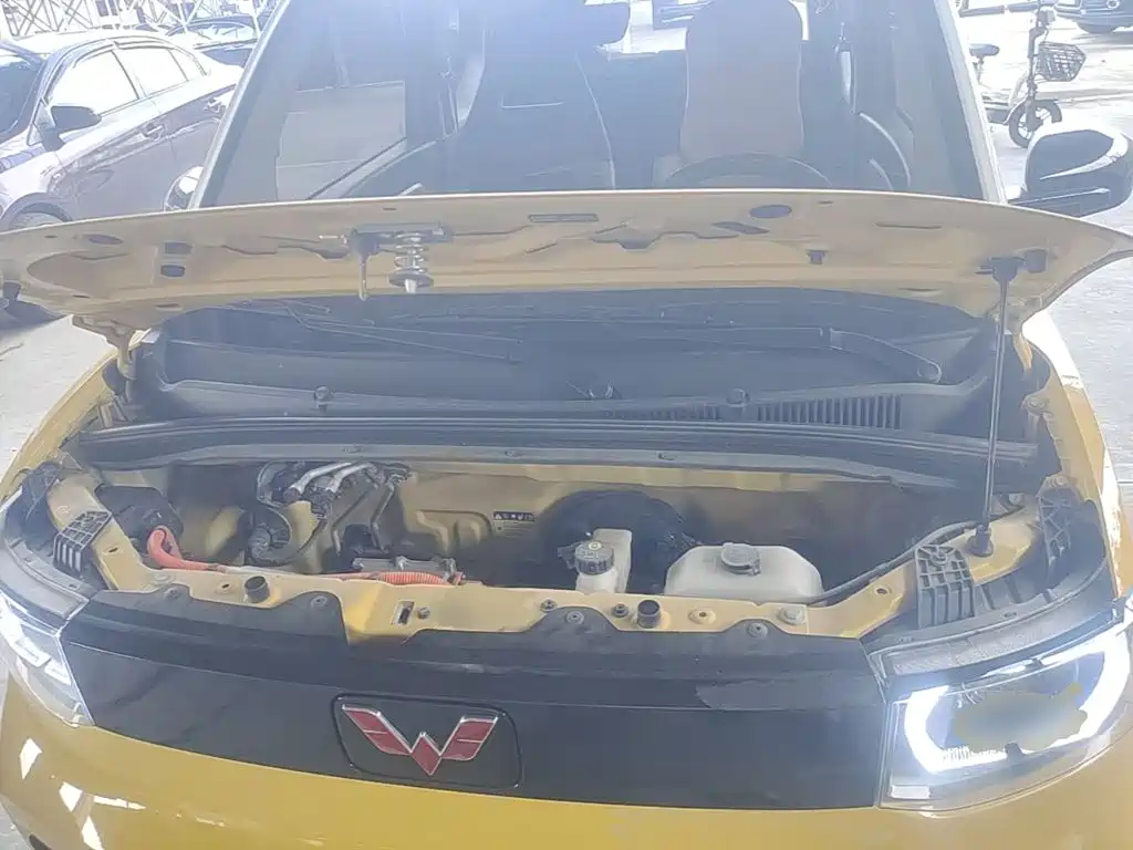 Фото 20 - Wuling Motors Hongguang MINIEV