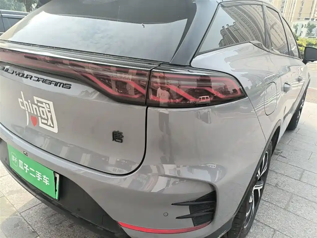 BYD Tang New Energy 2025 DM-i 115KM Flagship фото 8