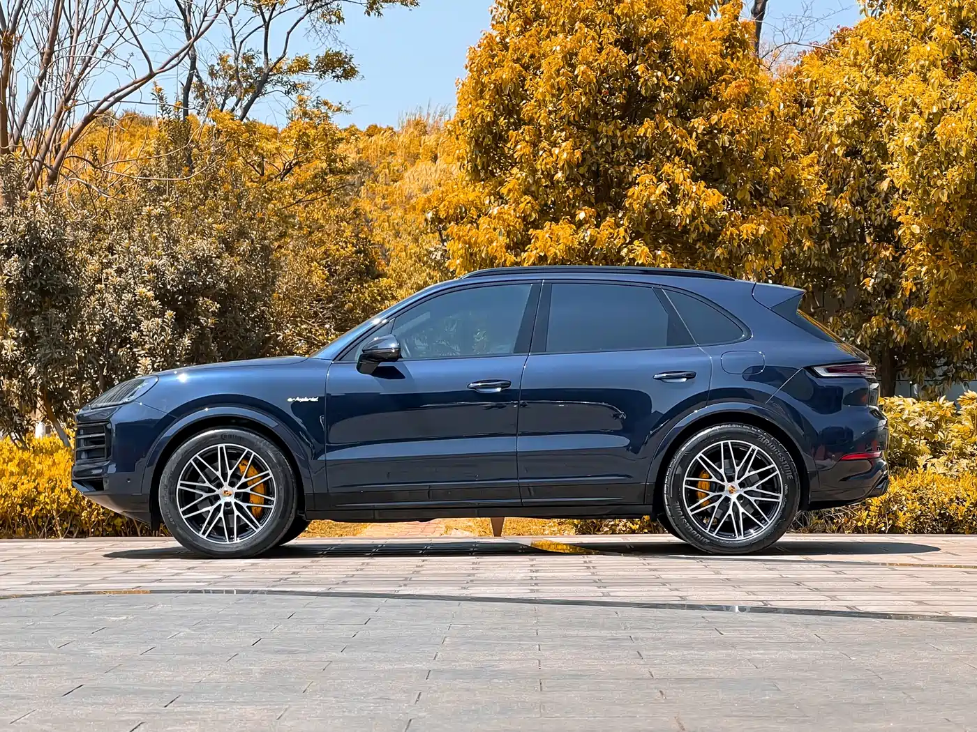 PORSCHE CAYENNE NEW ENERGY