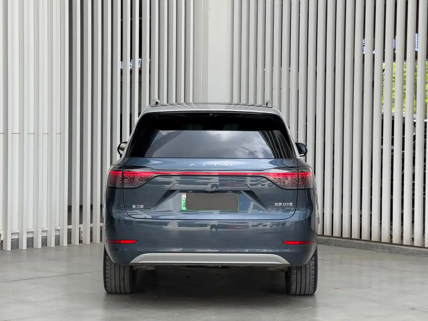 AITO Wenjie AITO M9 2024 Pure Electric Max Edition 100kWh 6-Seater фото 5