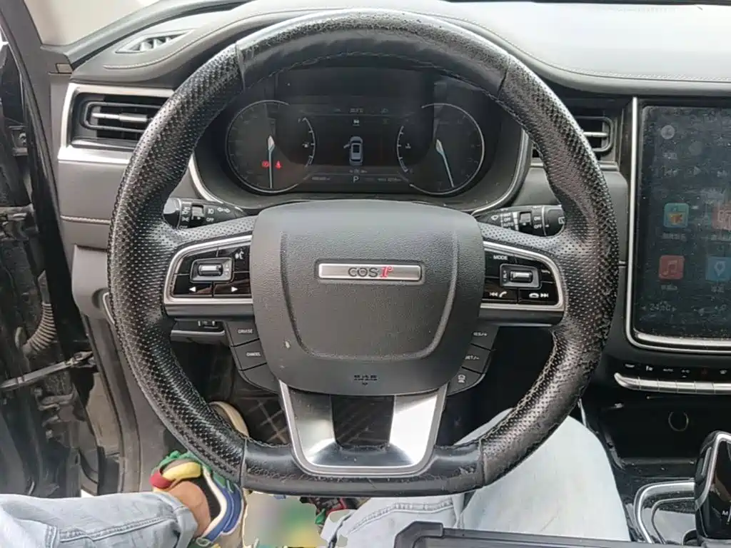 صورة 11 - Changan Oshan Cosmos Pro