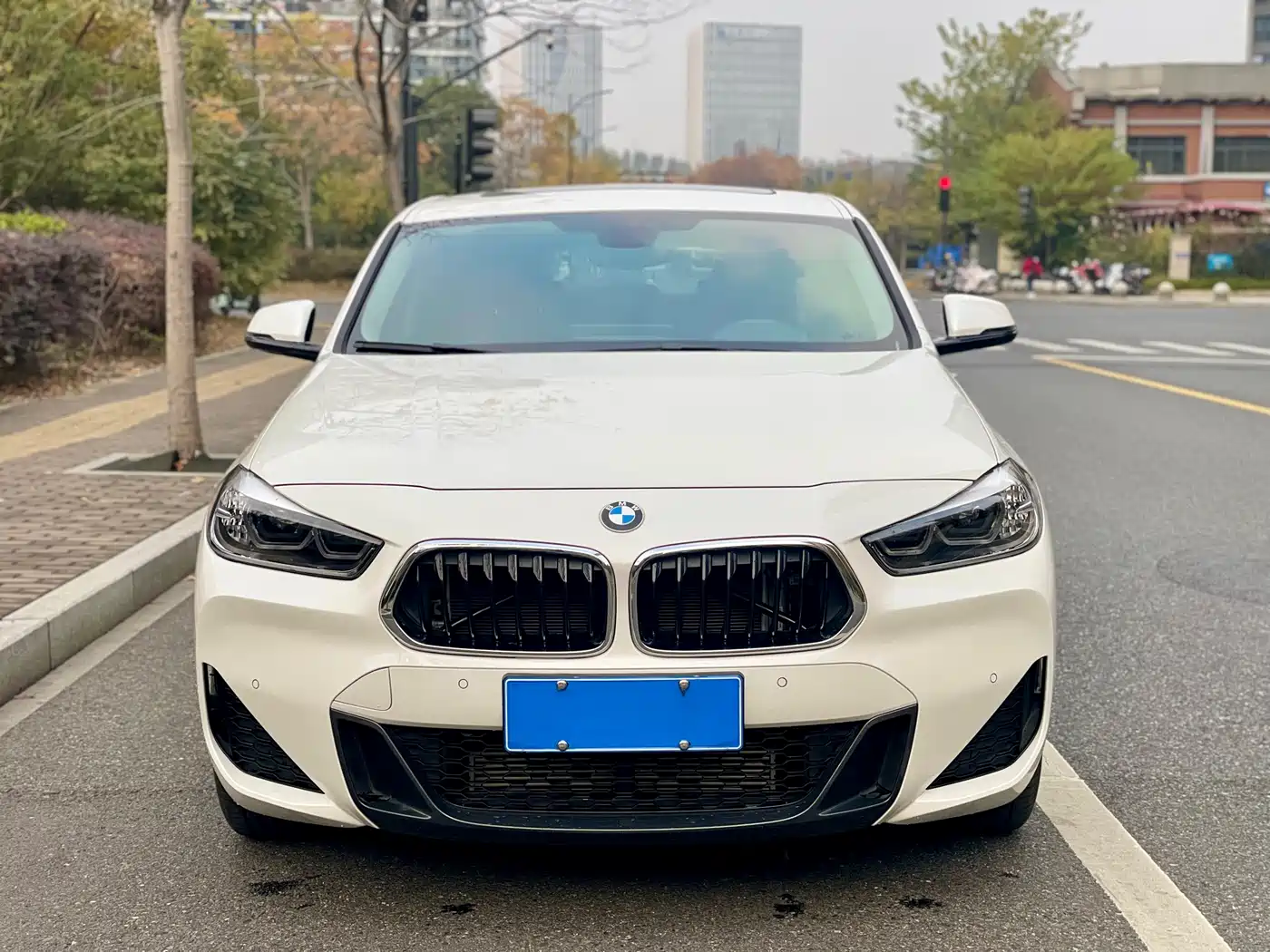 BMW X2 2021 sDrive25i Leading M Sport Package фото 2