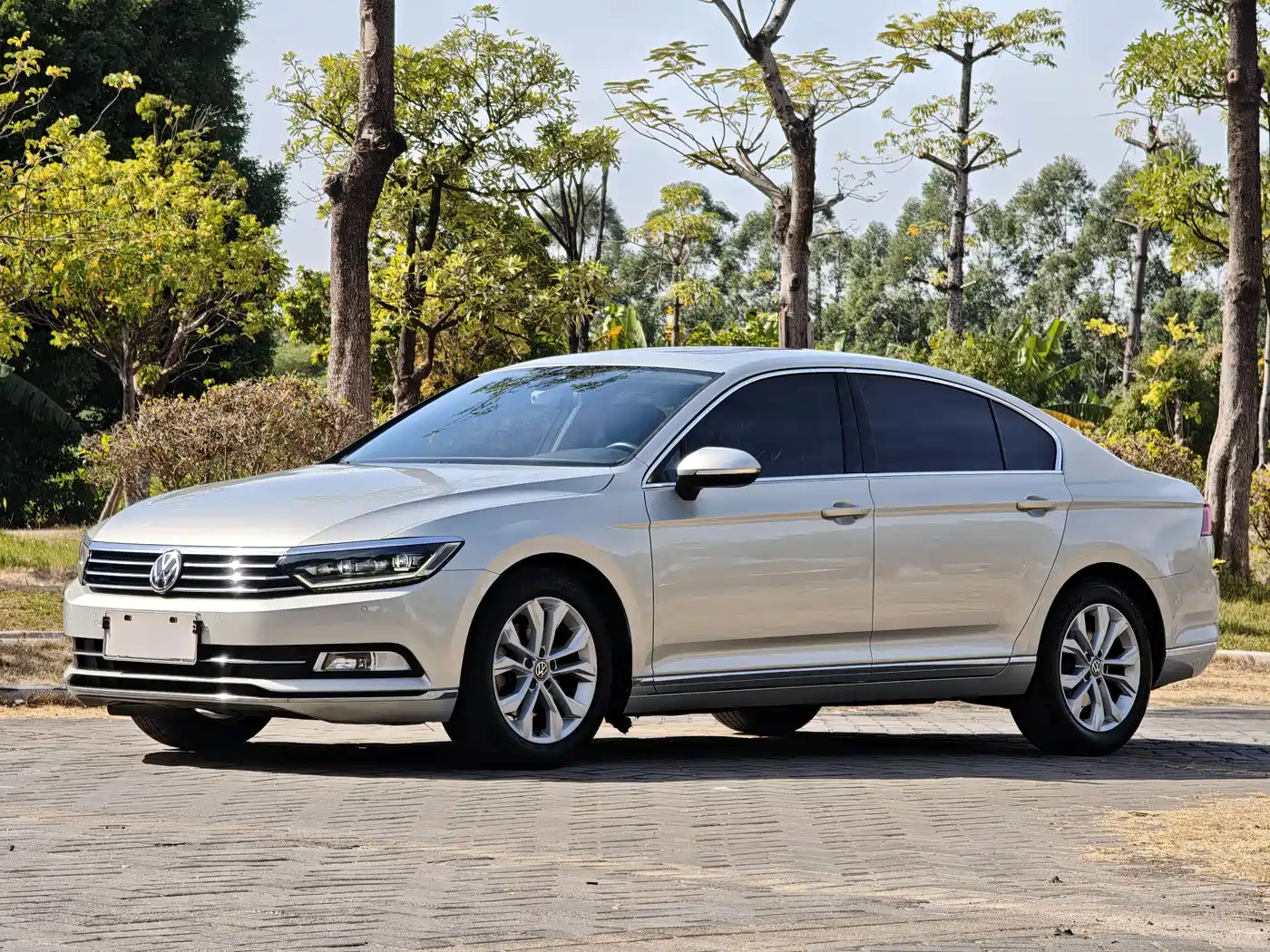 Volkswagen Magotan 2018 330TSI DSG Luxury