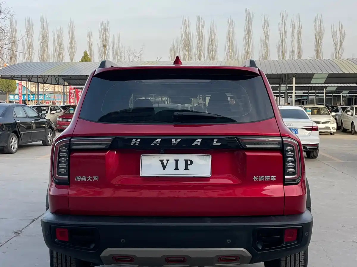 HAVAL BIG DOG
