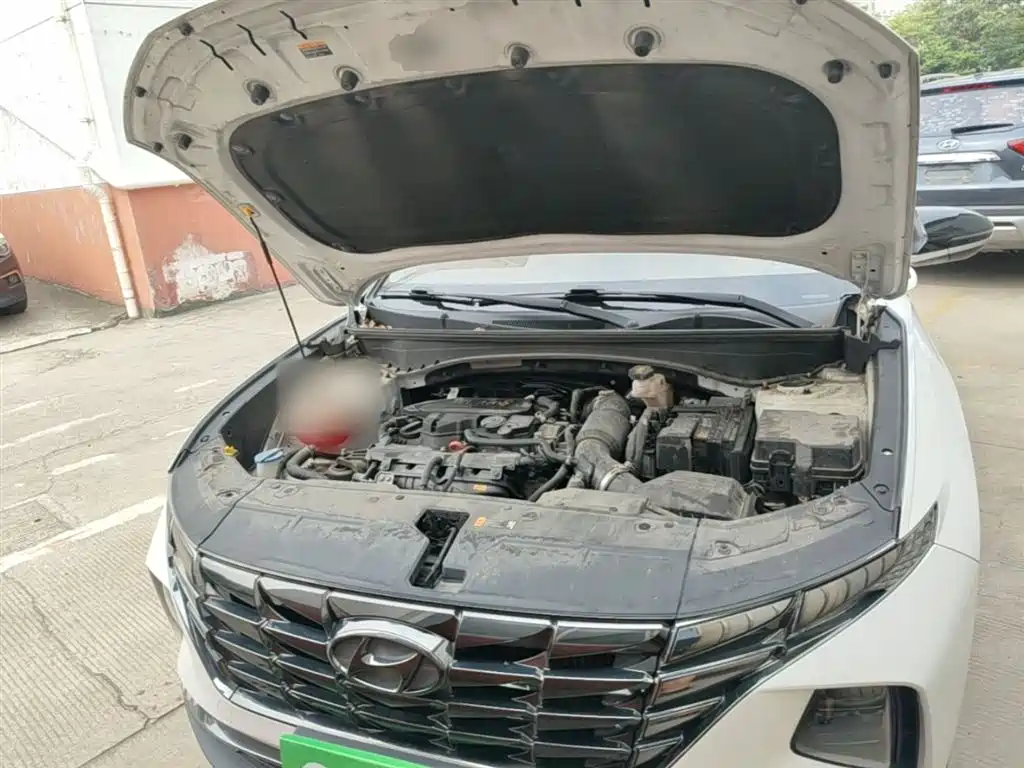 Hyundai Tucson 2022 Tucson L 1.5T DCT LUX Premium N Line фото 20