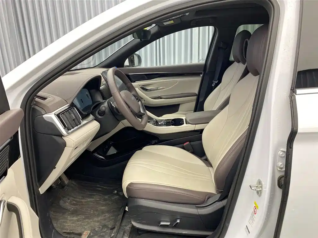 BYD SONGJIANG NEW ENERGY