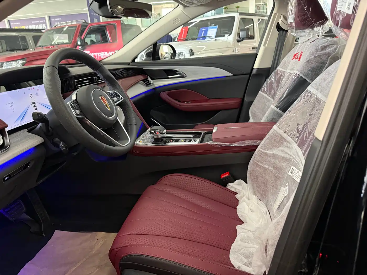 Hongqi H5 2025 2.0T Automatic Flag Celebration 500,000 Units Anniversary Edition фото 7