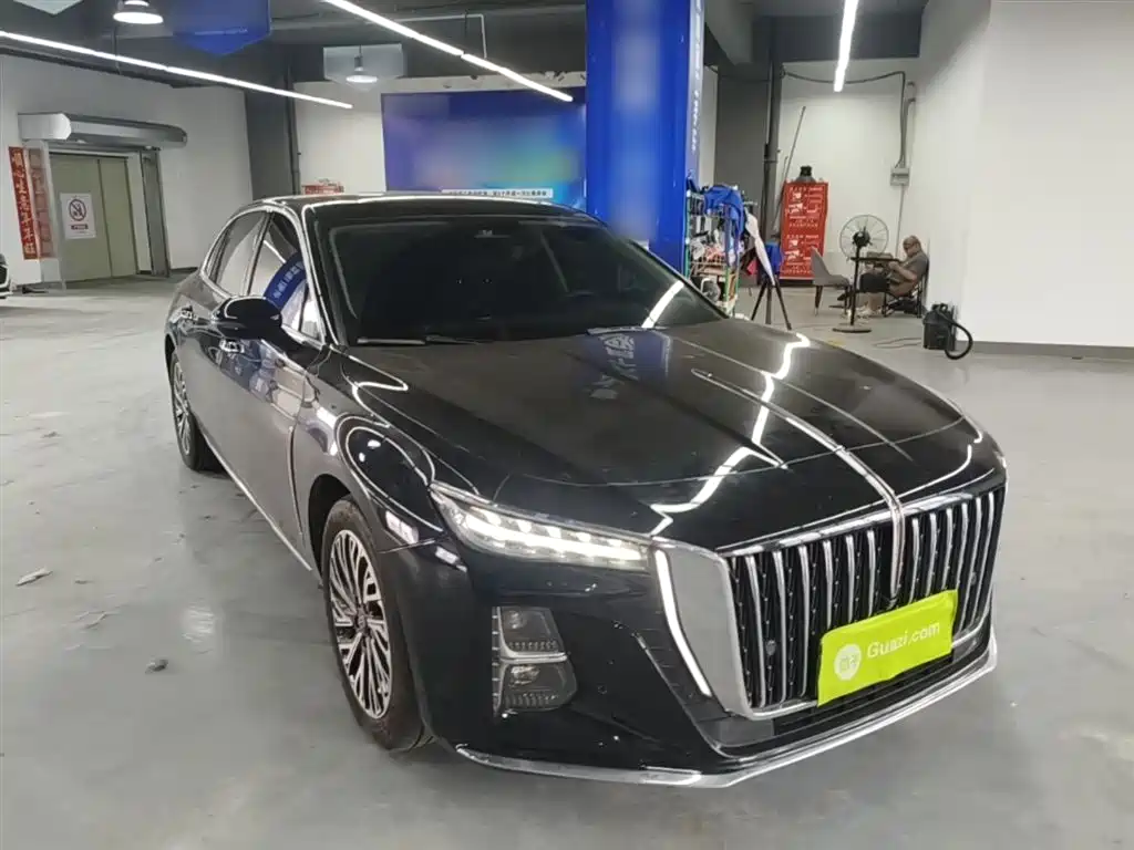 Hongqi H5 2024 2.0T Automatic Smart Connect Flag Smooth Edition фото 4