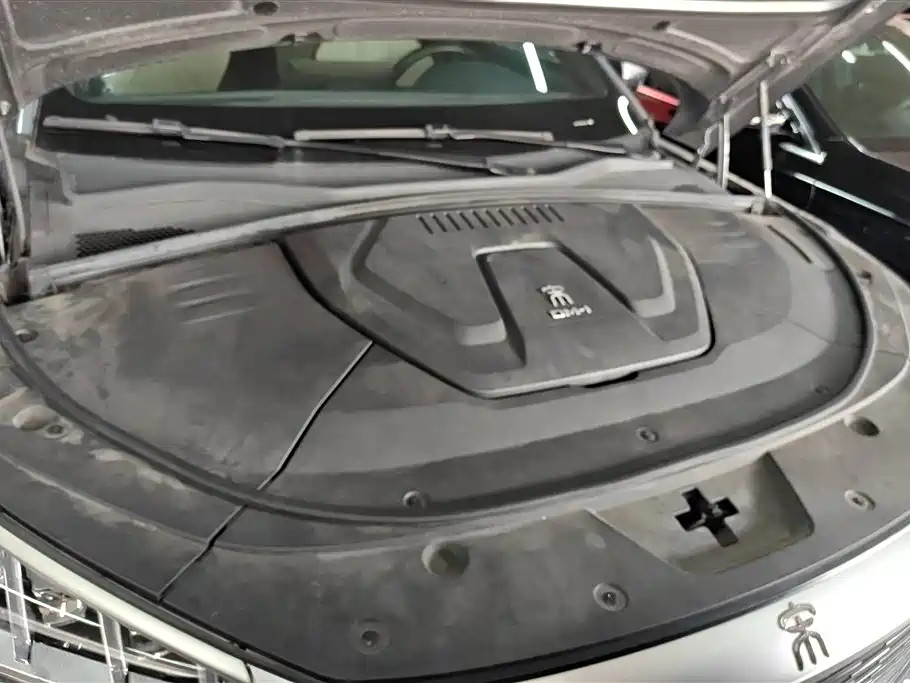 BYD Song PLUS PHEV 2021 DM-i 110KM Flagship PLUS фото 10