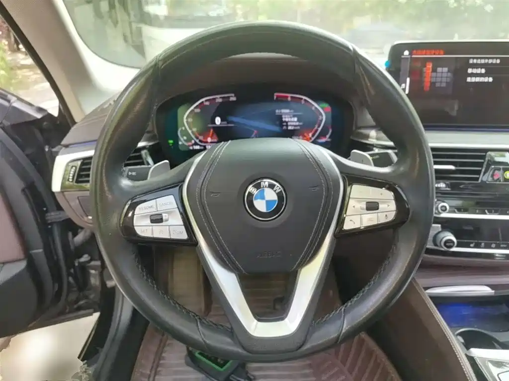 BMW 5 Series 2021 530Li Leading Luxury Package фото 11