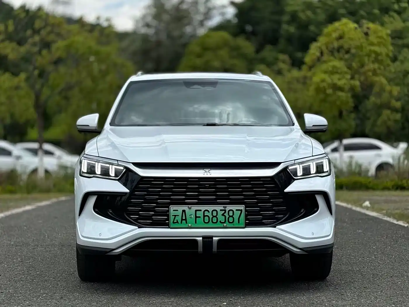 BYD Song Pro New Energy 2023 Champion Edition DM-i 110KM Excellence фото 2