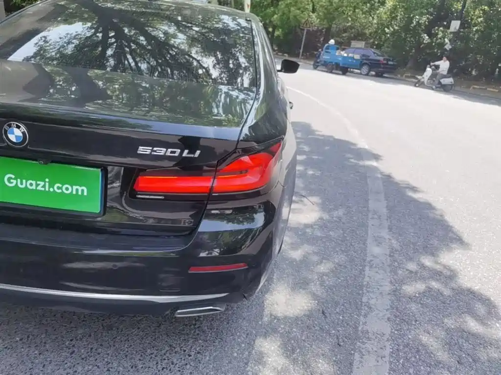 BMW 5 Series 2021 530Li Leading Luxury Package фото 8