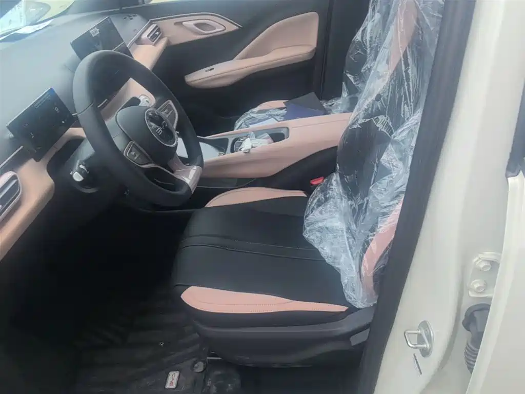 BYD Seagull 2025 Smart Drive Edition 305km Vitality Version фото 15