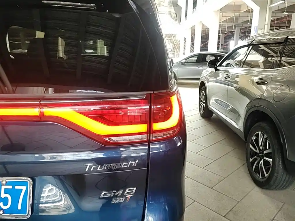 GAC Trumpchi Trumpchi M8 2018 320T Premium Edition фото 8