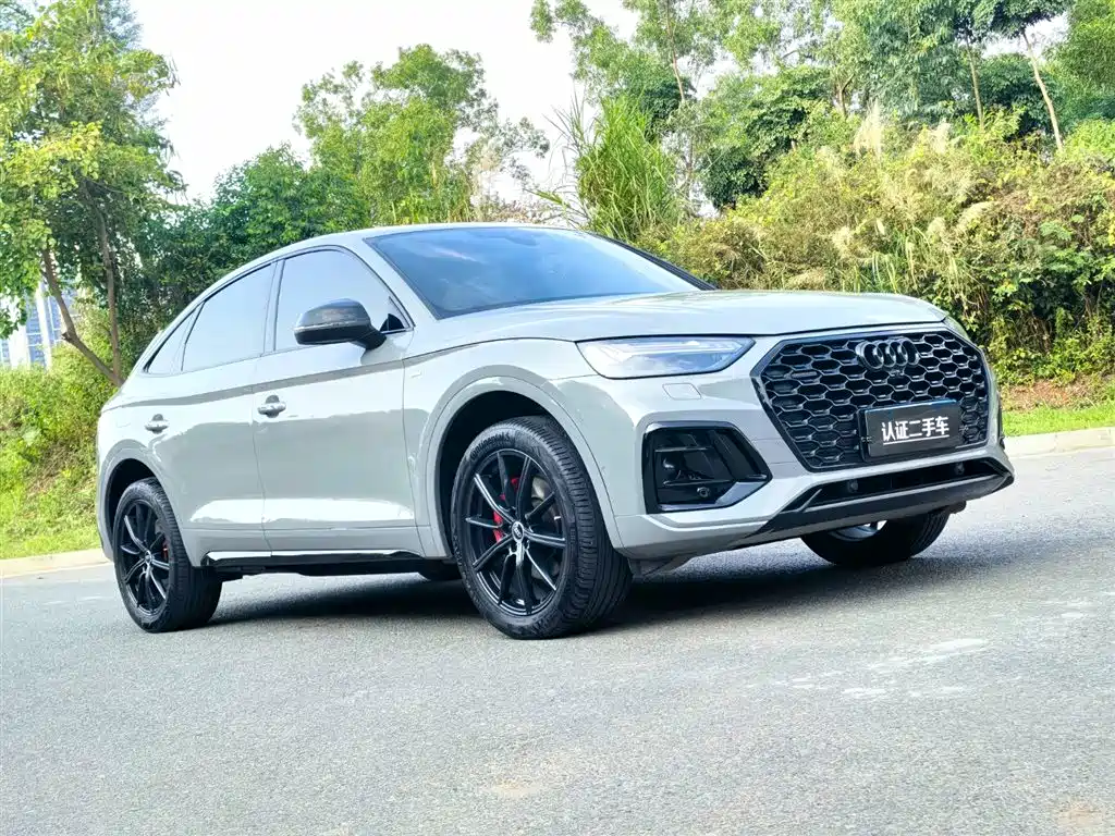 Audi Q5L Sportback 2022 45 TFSI Luxury фото 3