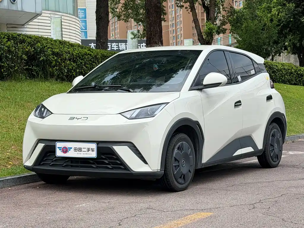 BYD Seagull 2024