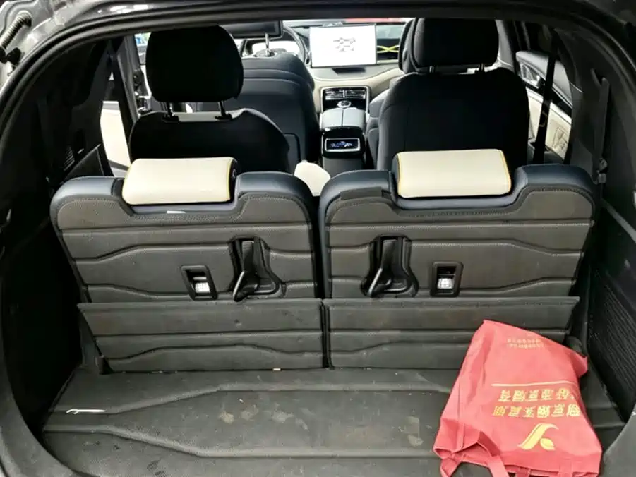BYD Tang New Energy 2024 EV Glory Edition 730KM Premium фото 9