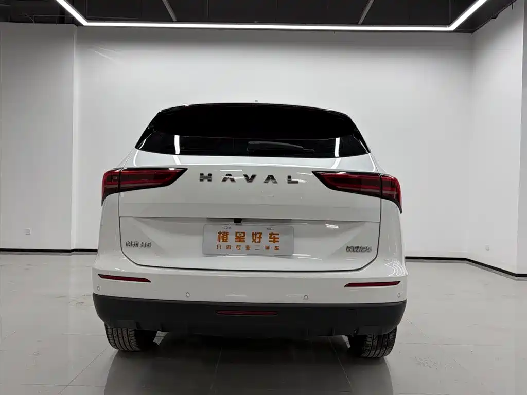 Фото 4 - Haval H6