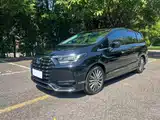 Фото 1 - Honda Elysion