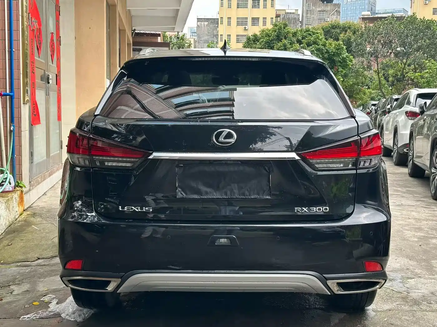 Lexus RX 2020 300 4WD Elegance Edition China VI фото 8