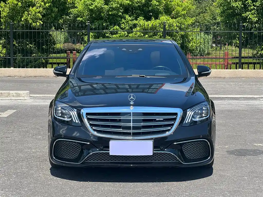 Mercedes-Benz S-Class AMG 2018 AMG S 65 L фото 2
