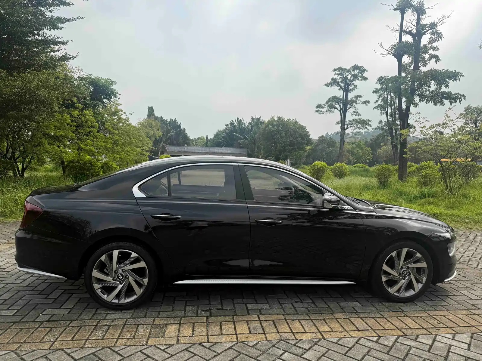 Photo 19 - Hyundai Mistra