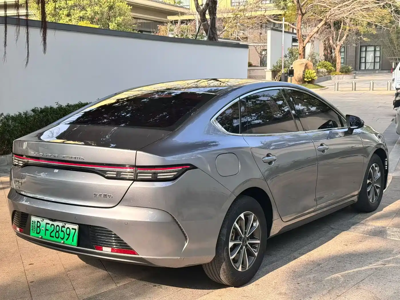 BYD Destroyer 05 2023 Champion Edition DM-i 55KM Luxury фото 7