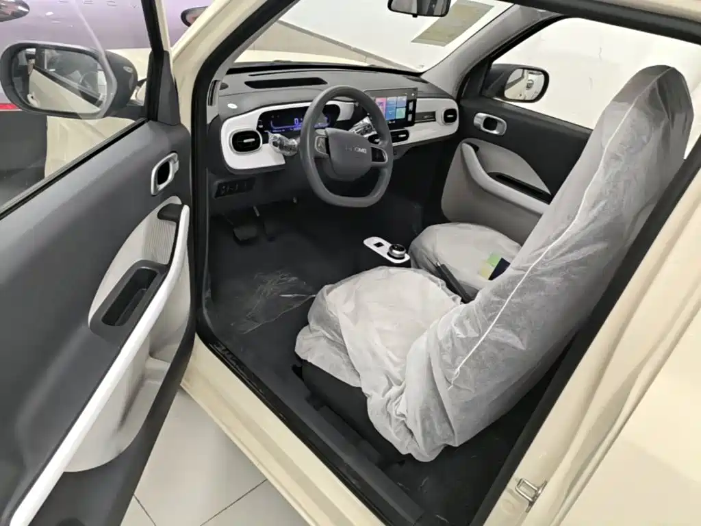 Geely Galaxy Panda 2026 2025 Panda mini 210km Vitality Bear