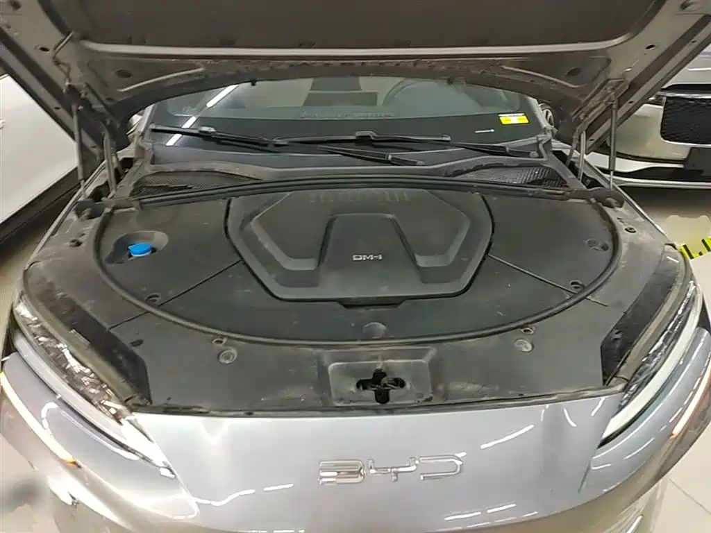 BYD Song PLUS PHEV 2024 Glory Edition DM-i 110km Flagship PLUS фото 20