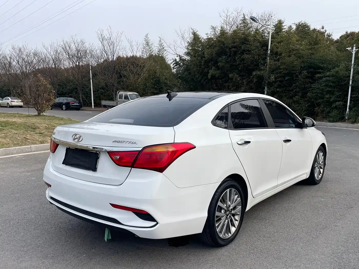 HYUNDAI NAME PICTURE