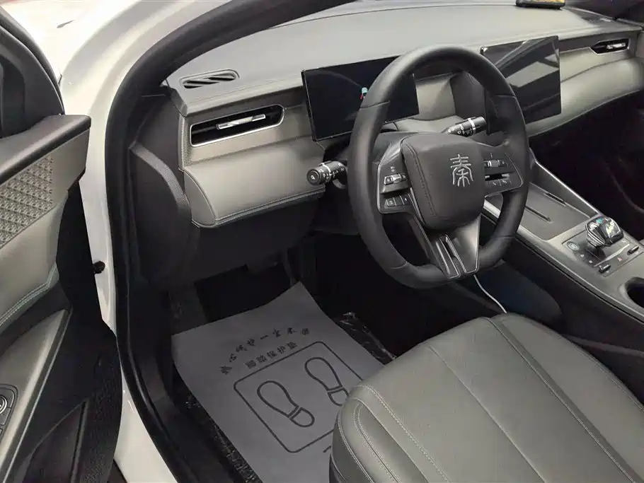 BYD Qin PLUS 2025 DM-i Smart Drive 55KM Leader фото 12