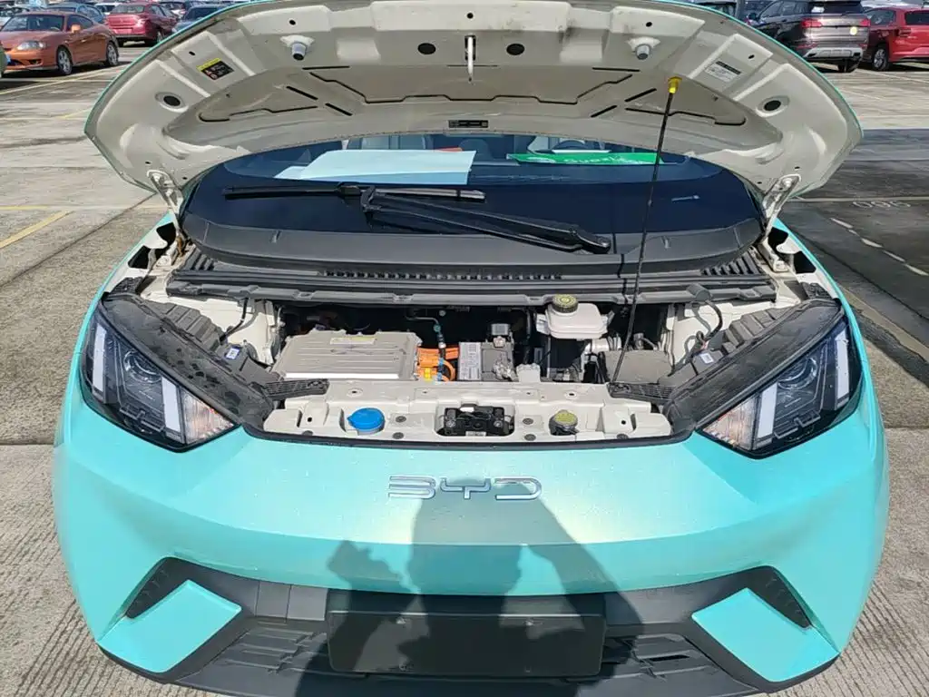BYD Seagull 2023 2023 Vitality Edition
