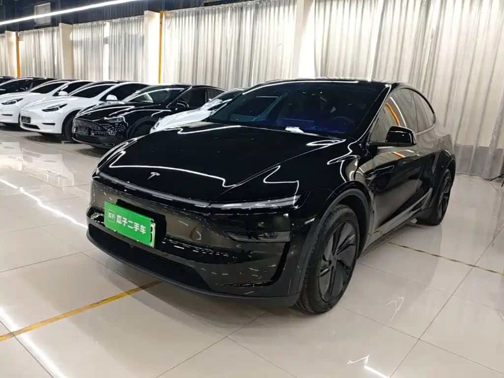 Tesla Model Y 2025 Rear-Wheel Drive