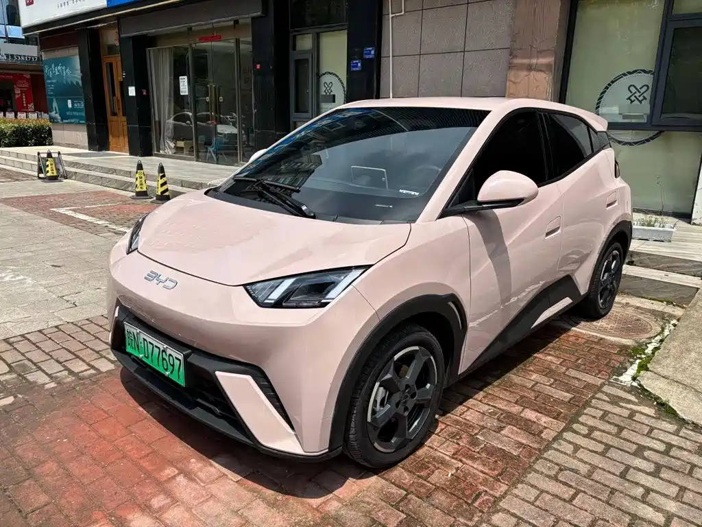 BYD Seagull 2024