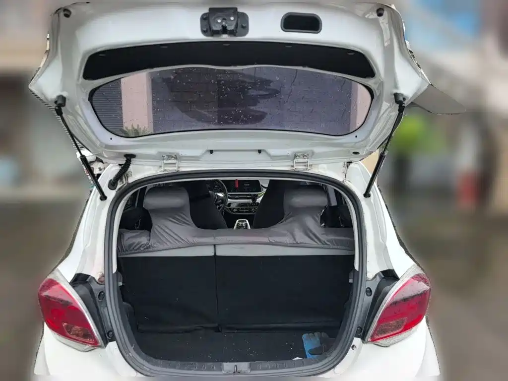 Changan Benben E-Star 2021 2020 Heartbeat Edition (NMC Battery)